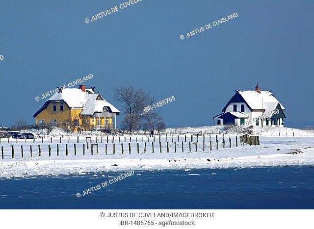 Holiday houses on the Graswarder peninsula in Heiligenhafen in winter, Baltic Sea coast, Ostholstein district, Schleswig-Holstein, Germany, Europe