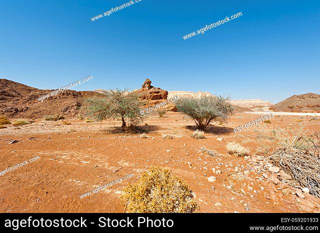 Melancholy and emptiness of the rocky hills of the Negev Desert in Israel. Breathtaking landscape and nature of the Middle East