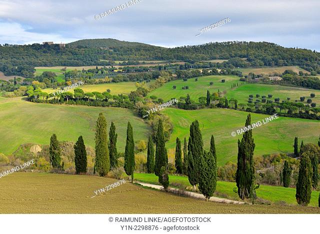 Country Road Winding up Hill with Cypress Trees, La Foce, Val d'Orcia, Provinz Siena, Tuscany, Italy