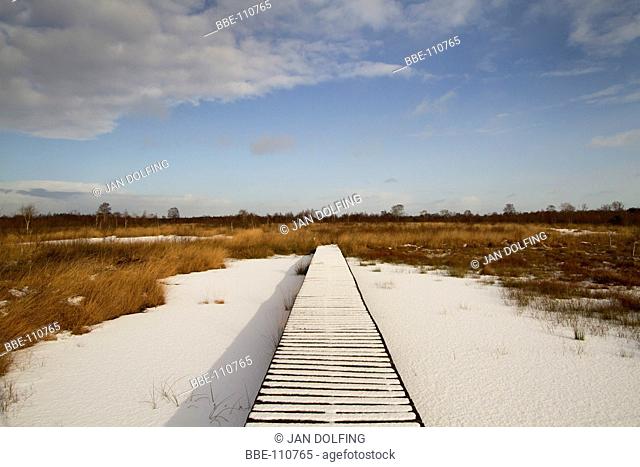 wooden bridge crossing the wetlands of the moors