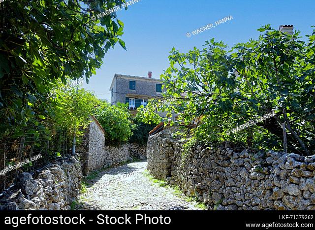 Beli; island of Cres; Alley with quarry stone walls