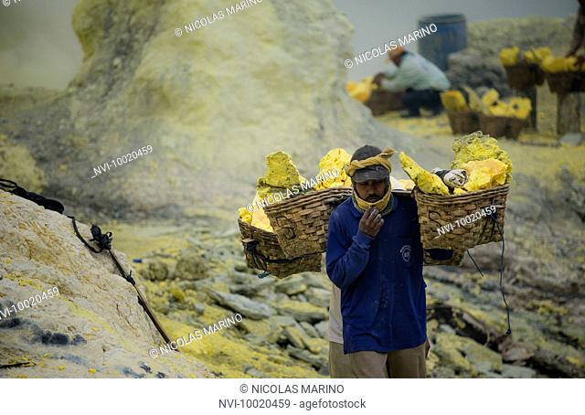 Sulphur miners of Kawah Ijen, Java, Indonesia