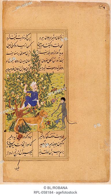 Sal'uk up a tree while a monkey below reproaches the lion for fearing his rider. A miniature painting from a sixteenth century manuscript of the Sinbadnama the...