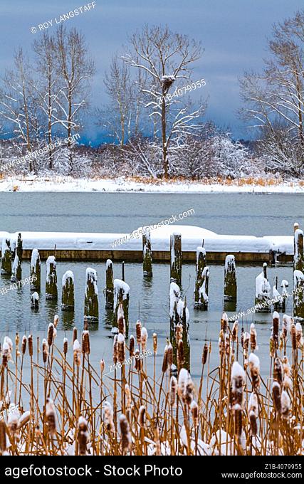 Winter scene with a snow-filled eagles nest in the distance as seen from Steveston British Columbia Canada