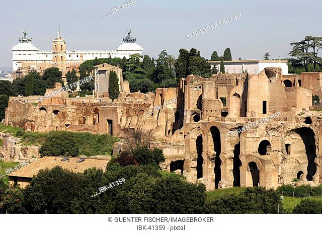 Ruins Palatine Hill Rome Italy