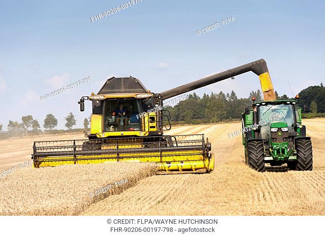 Wheat (Triticum aestivum) crop, New Holland combine harvester loading John Deere tractor and trailer with grain from auger, near Kelso, Scottish Borders