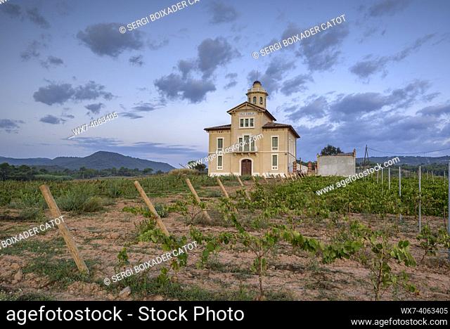 Torre LluviÃ  de Manresa, surrounded by vineyards of the DO Pla de Bages, in a summer sunrise (Barcelona province, Catalonia, Spain)