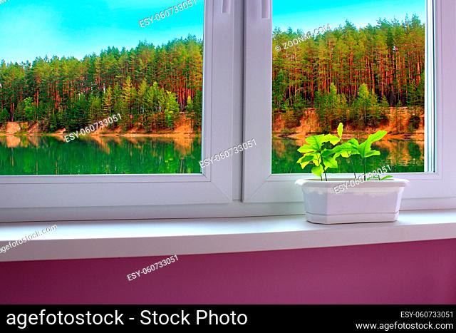 seedlings of oaks on the window sill of window overlooking the forest lake