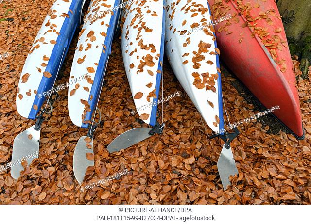 14 November 2018, Brandenburg, Neuglobsow: Canoes covered with beech leaves lie in a forest at the autumnal Stechlinsee. The Klarwassersee