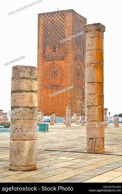 chellah  in morocco africa the old roman deteriorated monument and site