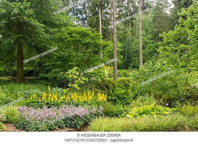 Flower beds in the Dendrological Garden in Pruhonice, Czech Republic on July 28, 2017. (CTK Photo/Zdenek Kiesenbauer)