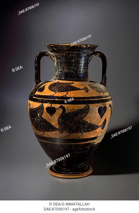 Amphora by the Micali Painter. Black-figure pottery. Etruscan Civilisation, 6th Century BC.  Rome, Museo Nazionale Etrusco Di Villa Giulia (Villa Giulia...