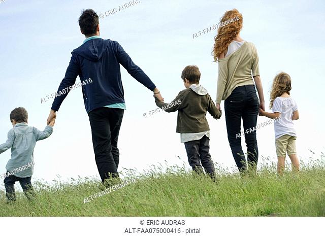 Family walking hand in hand in field, rear view