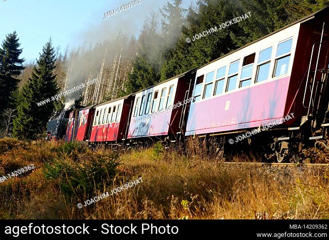 Brocken Railway on the way to Schierke, Harz, Saxony-Anhalt, Germany