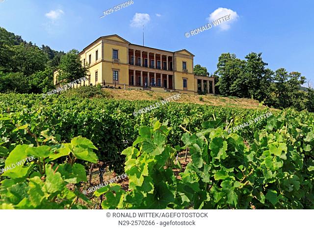 Weyer wine village, vineyards, Southern Wine Route, Rhineland-Palatinate, Germany