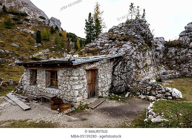 Europe, Italy, the Dolomites, South Tyrol, Valparola Pass, open air world war museum, Edelweiß emplacement