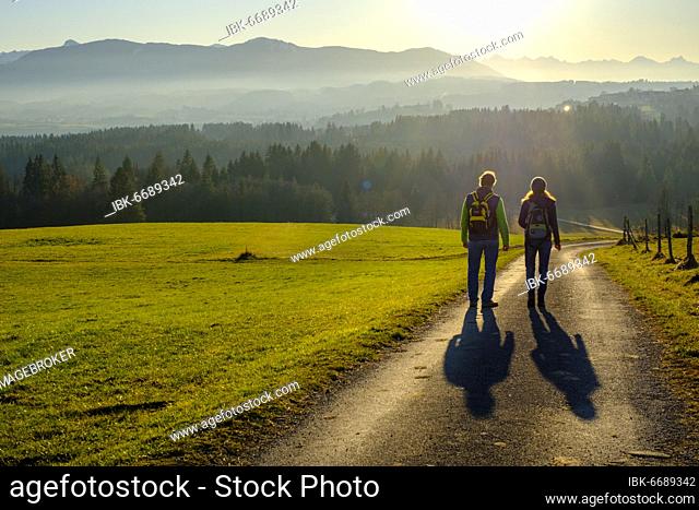 Hiker at the panorama path during the descent from the Kirnberg near Schönberg, Rottenbuch, to the Ammergau Alps, Pfaffenwinkel, Upper Bavaria, Bavaria, Germany