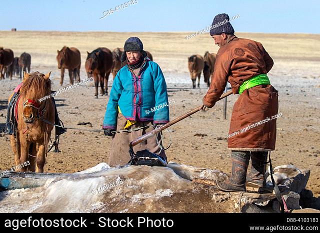 Asie, Mongolie, Est de la Mongolie, Steppe, Bergers Mongol en habits traditionnels sortent de l'eau du puits en plein hiver pour donner Ã  boire aux chevaux /...