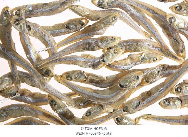 Dried anchovies, close-up