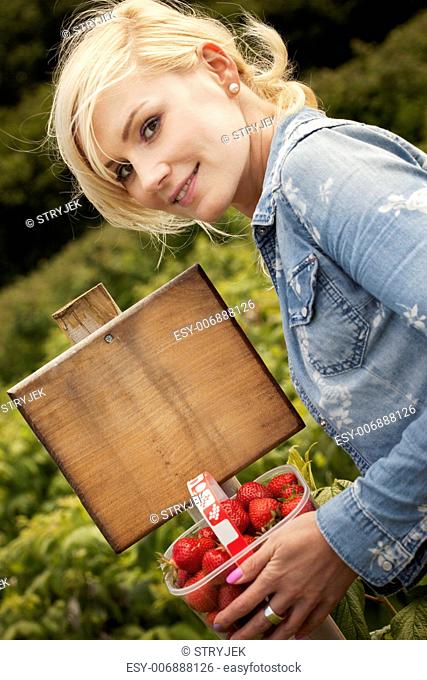 Beautiful blonde woman holding a punnet of freshly picked strawberries in her hands as she stands in front of a blank wooden board amonst an agricultural crop