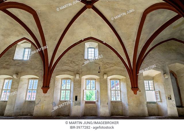 Ribbed vault, monks' dormitory, bedroom, basilica, monastery church, founded in 1136, Kloster Eberbach or Eberbach Abbey, Eltville am Rhein, Rheingau, Hesse