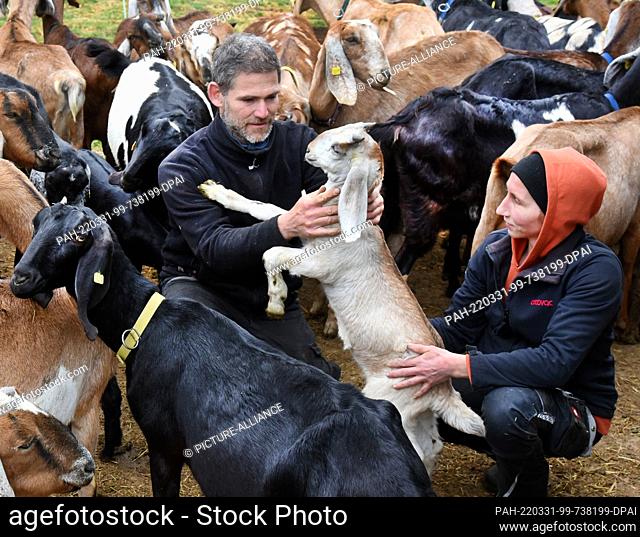 29 March 2022, Saxony, Lichteneichen/ Mügeln: The organic goat farm operator from Camprinenhof Sven Kloy and his partner, veterinarian Katja Loßner