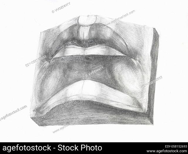 academic drawing - male mouth, plaster cast fragment of David's face hand-drawn by graphite pencil on white paper