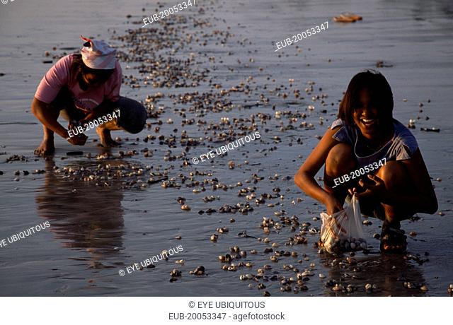Klong Dao beach two women collecting shellfish at low tide