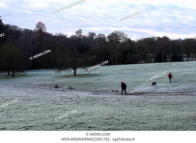 Hampstead Heath is covered in a heavy frost after one of the coldest nights of the winter Featuring: Atmosphere Where: London