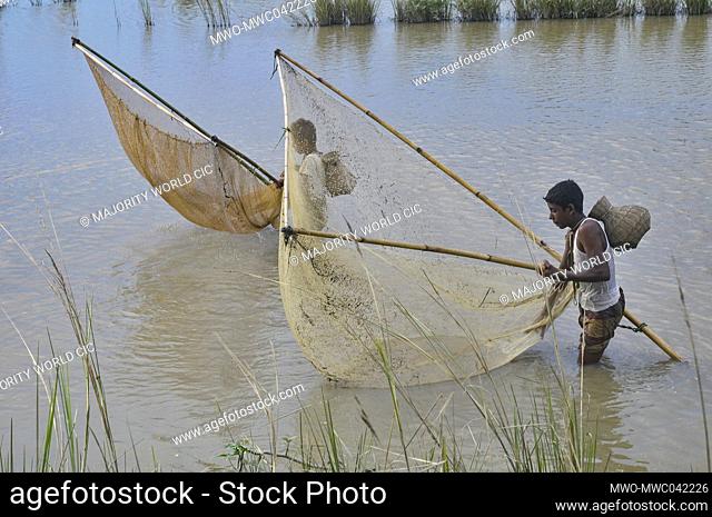 Rural boys are catching fish with a traditional hand made net in a canal at Horipor. Sylhet, Bangladesh