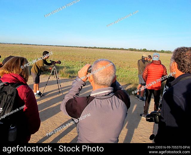PRODUCTION - 13 April 2023, Spain, Nationalpark Doñana: The guide of a group of visitors to Doñana National Park, Nacho Camino