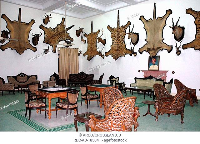 Animal skins and hunting trophys, Laxmi Niwas hotel, Bikaner, Rajasthan, India