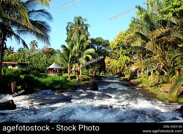 River and palm trees in Upolu island, Samoa