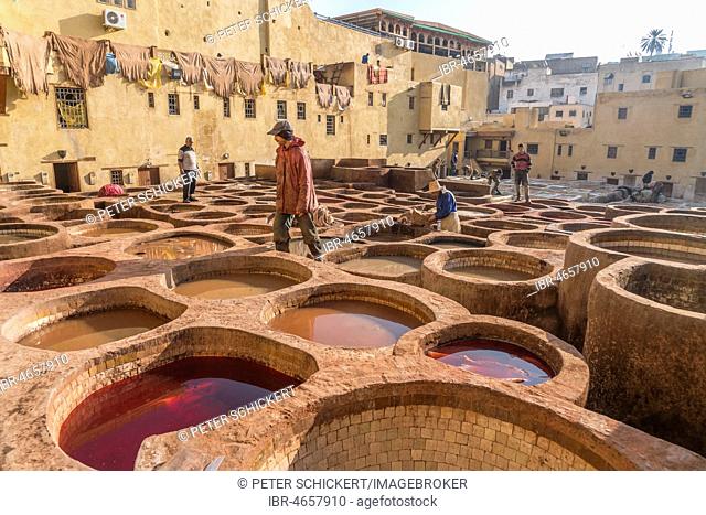 Leather dyeing tanks, dyeing plant, Tannerie Chouara tannery, Fes el Bali tannery and dyeing district, Fez, Morocco