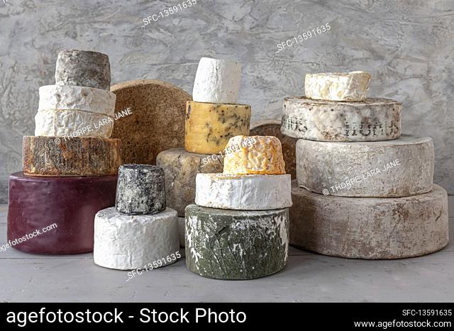Assorted cheeses for a Cheese Wedding Cake