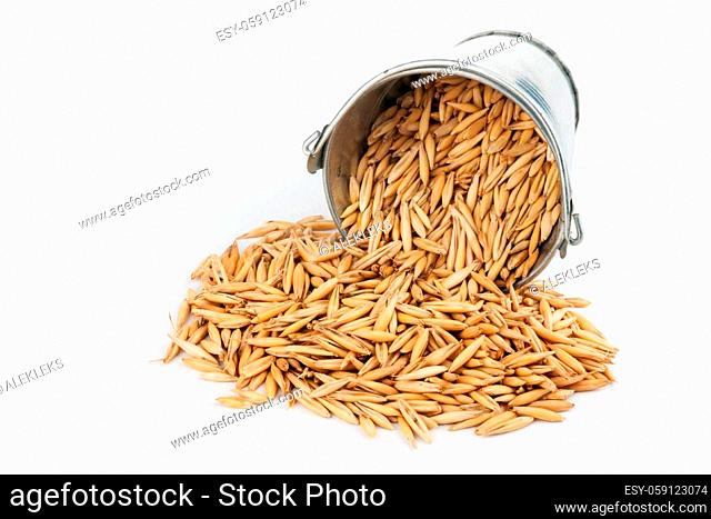 Oats grains spilling out of bucket, on a white background