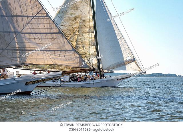 Two traditional skipjack boats crossing paths on the waters of the Chesapeake Bay during annual Deal Island Skipjack Races, Deal Island, Maryland. USA