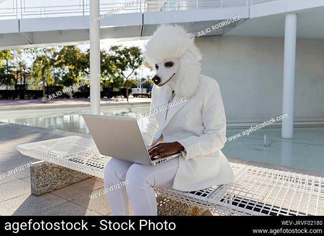 Woman in dog mask using laptop on bench
