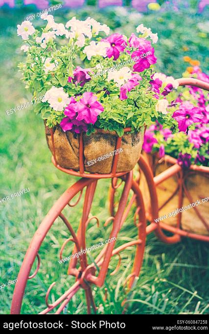 Decorative Model Of An Old Bicycle Equipped With Basket Of Flowers