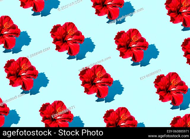 Trendy pop art design of top view hibiscus flower pattern on a blue background. High quality photo