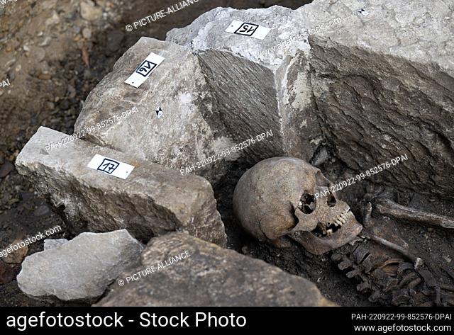 12 September 2022, Saxony-Anhalt, Naumburg: A well-preserved head niche tomb from before 1210 has been uncovered by archaeologists at the cathedral in Naumburg