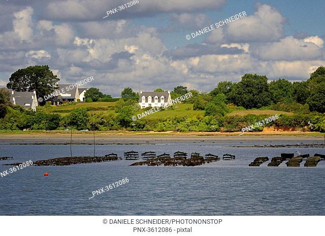 France, Brittany, Morbihan, Oyster parks in the Gulf of Morbihan