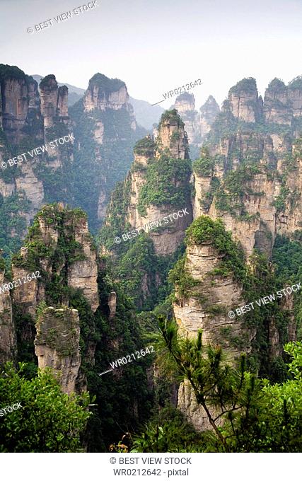 Hunan, Zhangjiajie National Forest Park, Zhangjiajie, Beauty in Nature, Mt Tianzi, Mount Tianzi