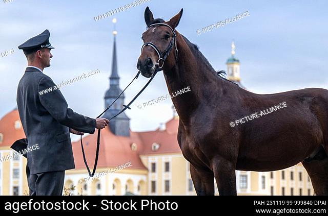 PRODUCTION - 16 November 2023, Saxony, Moritzburg: Phil Teifel, stud keeper at Moritzburg State Stud, stands in front of the former Wettin hunting lodge near...