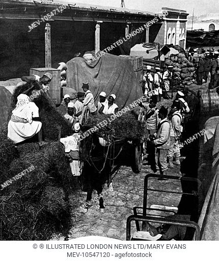 Hay being loaded onto the steamship 'Italian', part of provisions for the Italian army in Tripoli during the 1911-1912 Turco-Italian war in Tripoli in the area...