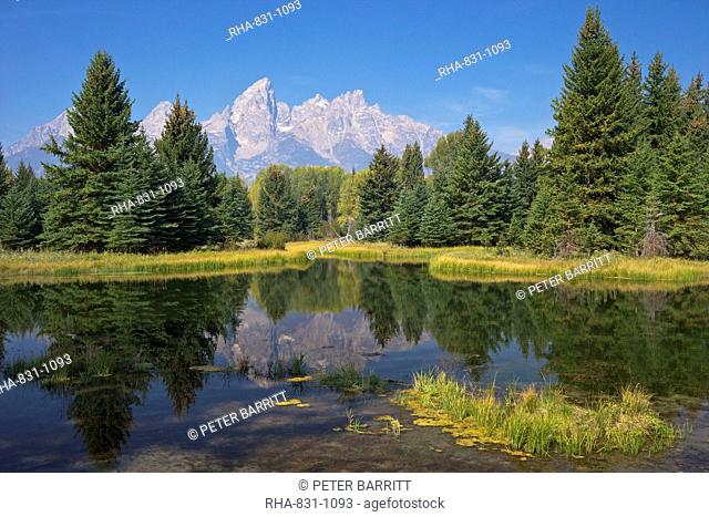 Snake River at the Schwabacher Landing, Grand Teton National Park, Wyoming, United States of America, North America