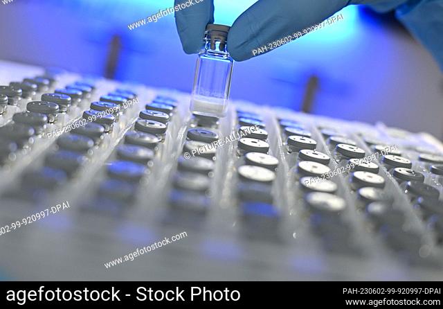 PRODUCTION - 23 May 2023, Hesse, Darmstadt: Biology lab technician Julia Volk removes a freeze-dried sample from a container in a laboratory of the...