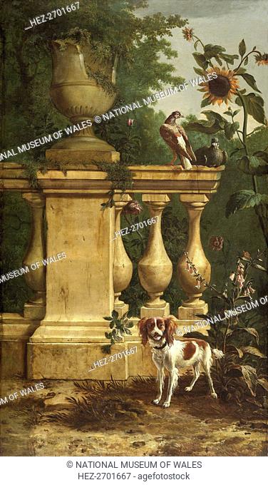 Pigeons and a dog in a garden, c1660-1690. Creator: Melchior d'Hondecoeter