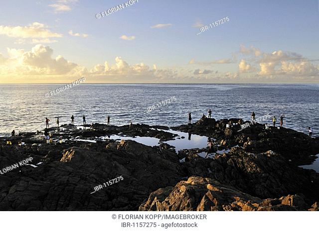 Anglers on the rocks in the early morning, Barra, Salvador, Bahia, Brazil, South America