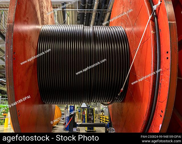 24 August 2023, North Rhine-Westphalia, Cologne: Cable drums with coiled sheathed copper cable lie in the production hall of NKT GmbH & Co KG